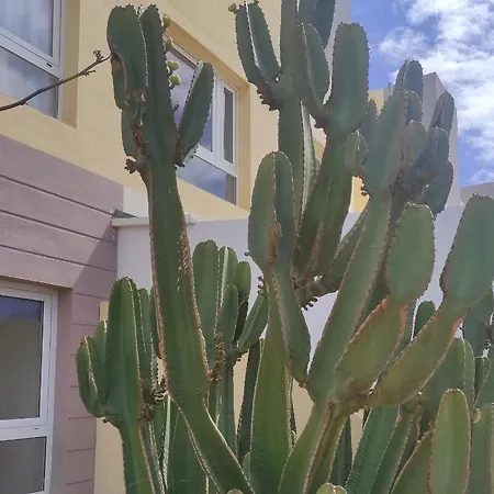 Apartamento Con Azotea Privada #thefunnycactus Apartment